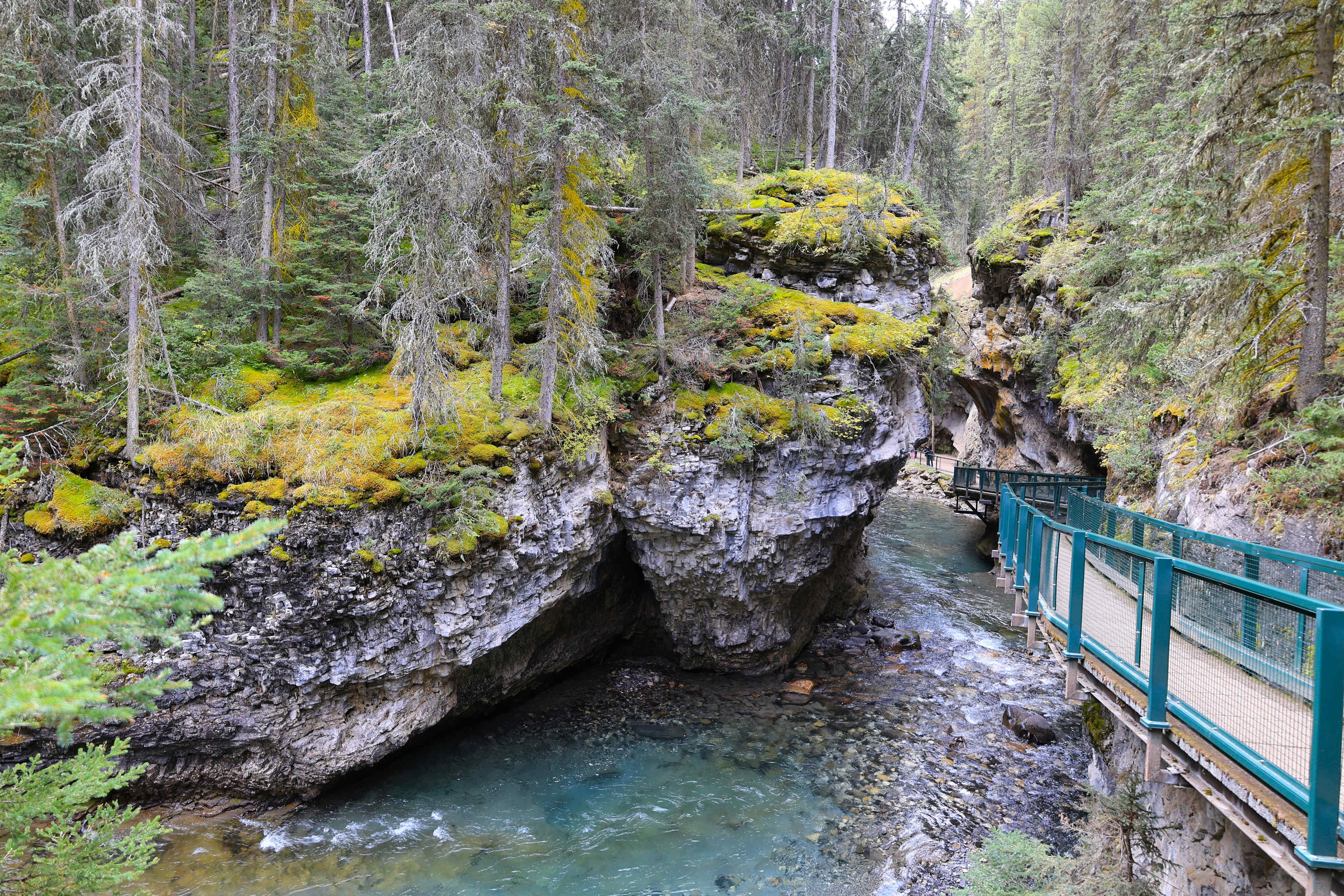NP Banff